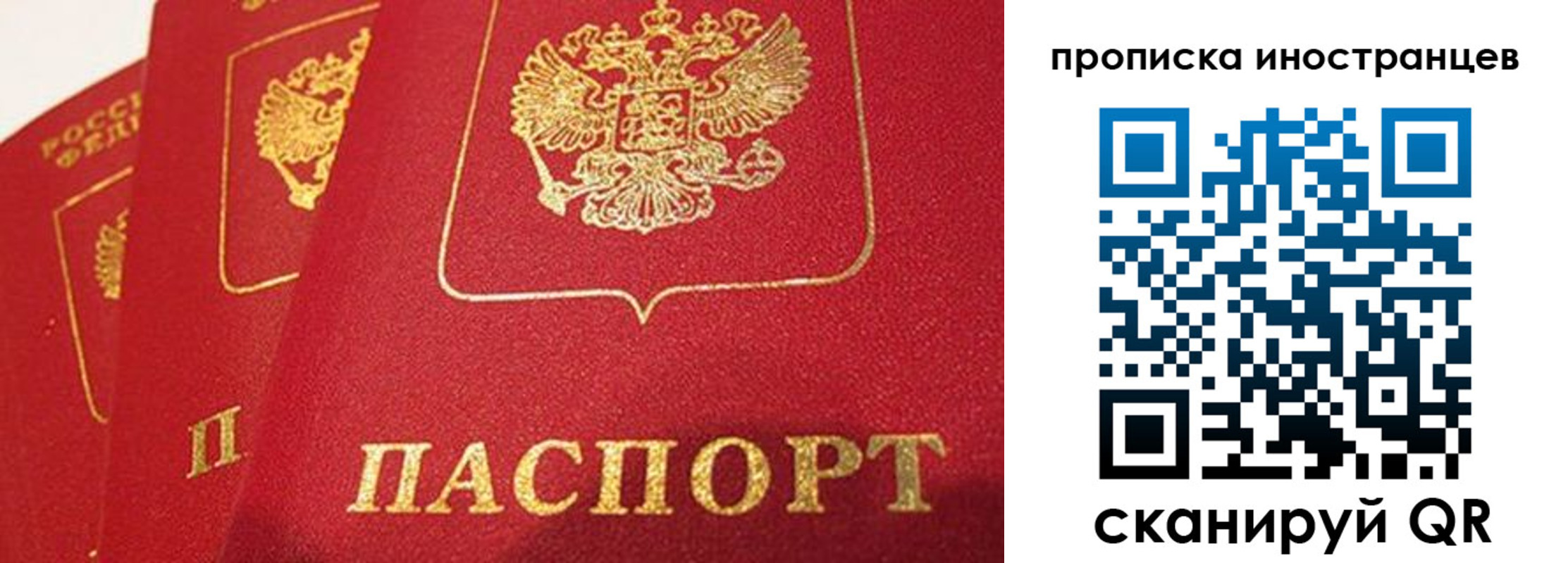 прописка поиск в Ингушетии